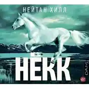 Постер книги Нёкк