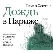 Постер книги Дождь в Париже