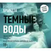 Постер книги Темные воды