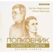 Постер книги Полковник особого отдела