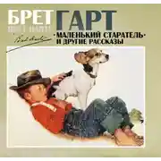 Постер книги Маленький старатель и другие рассказы