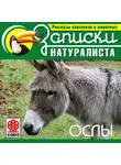 Грей Джеймс - Рассказы классиков о животных. Ослы