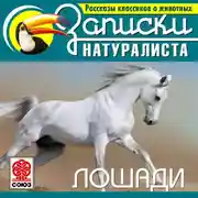 Постер книги Рассказы классиков о животных. Лошади