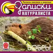 Постер книги Рассказы классиков о животных. Бобры