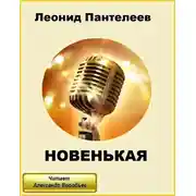 Постер книги Новенькая