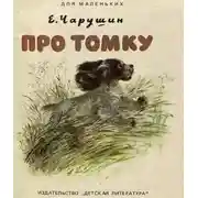 Постер книги Про Томку