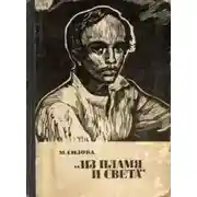 Постер книги Из пламя и света