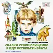 Постер книги Я иду встречать брата