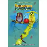 Постер книги Виндюка