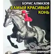 Постер книги Самый красивый конь