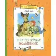 Постер книги Шел по городу волшебник