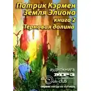 Постер книги Терновая долина