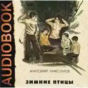 Постер книги Зимние птицы