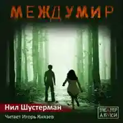 Постер книги Междумир