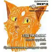 Постер книги Хвост трубой, или Приключения молодого кота