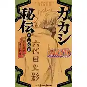 Постер книги Хроники Какаши: Молния в Ледяном Небе