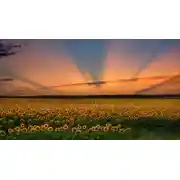 Постер книги Энергия изобилия. Психотехники, медитации и визуализации.