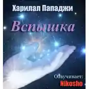 Постер книги Вспышка