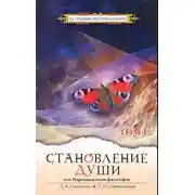 Постер книги Становление души или парадоксальная философия