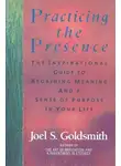 Голдсмит Джоэл - Практика присутствия