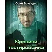 Постер книги Хроники тестировщика