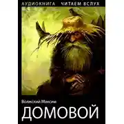 Постер книги Домовой