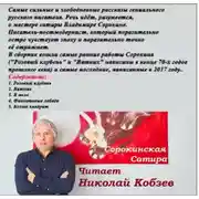 Постер книги Сорокинская Сатира