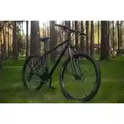 Постер книги Девочка и ее велосипед