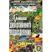 Постер книги Хроники диверсионного подразделения