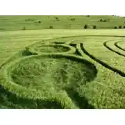 Постер книги Структура реальности