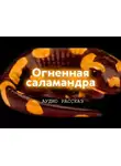 Курганов Иван - Огненная саламандра