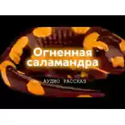 Постер книги Огненная саламандра