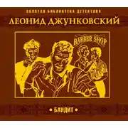 Постер книги Бандит