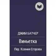 Постер книги Виньетка