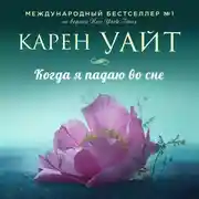 Постер книги Когда я падаю во сне