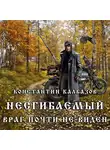 Калбазов Константин - Несгибаемый. Враг почти не виден