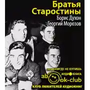 Постер книги Братья Старостины