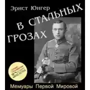 Постер книги В стальных грозах