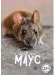 Настя Всмысле - Маус