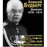 Постер книги Дневник. 1918 - 1919 годы