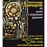 Постер книги 49 дней с родными душами