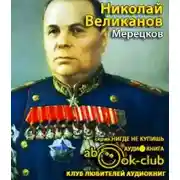 Постер книги Мерецков