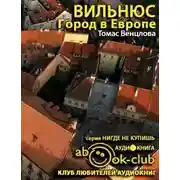 Постер книги Вильнюс. Город в Европе
