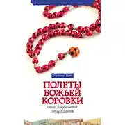 Постер книги Полёты божьей коровки