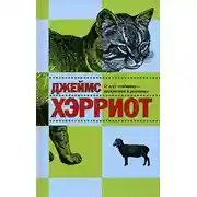 Постер книги О всех созданиях - прекрасных и разумных