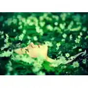 Постер книги Ветреница