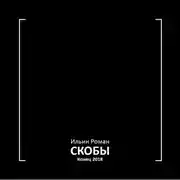 Постер книги Скобы. Конец 2018