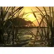 Постер книги Тишиною благословенная