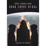 Постер книги Пока горит огонь