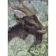 Постер книги Чудо деревенское